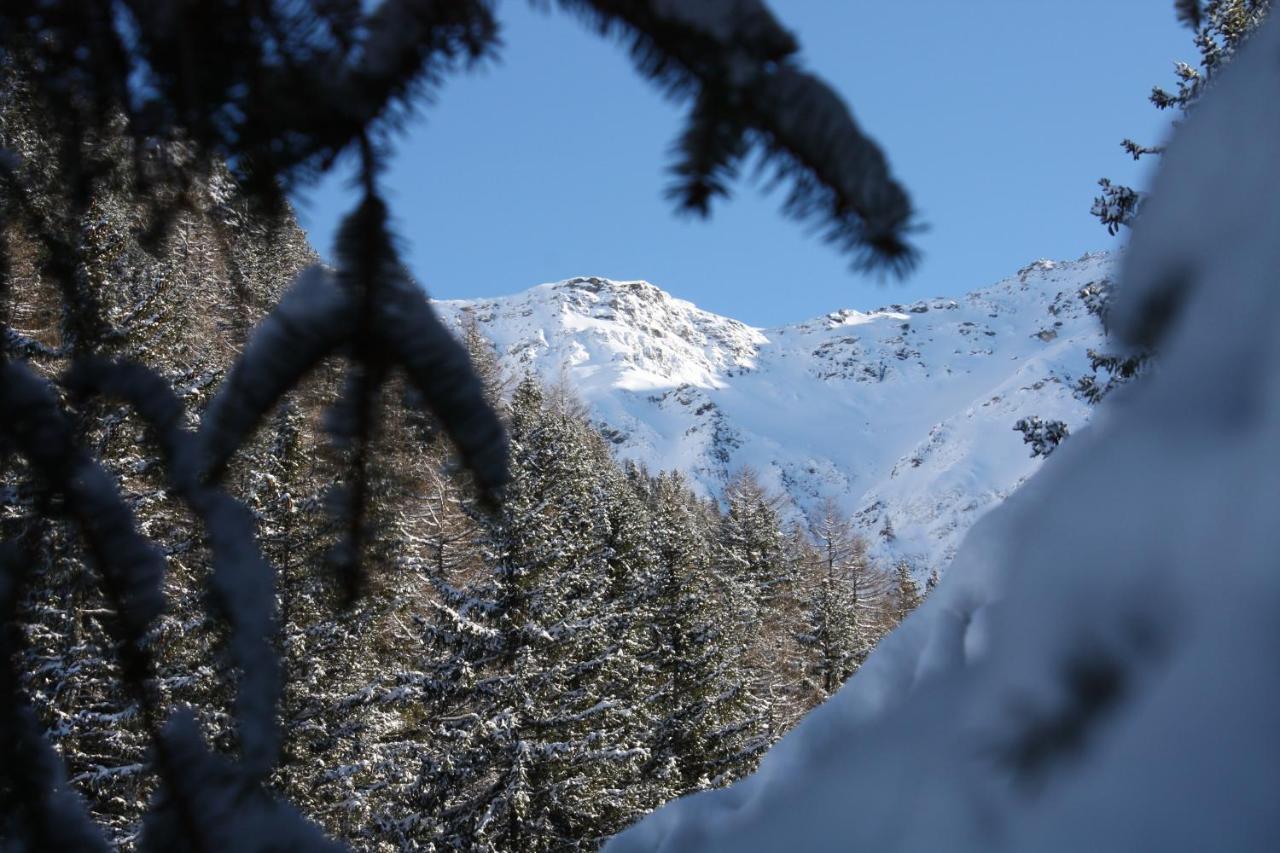 Chez Pierre Apartment Praz-de-Fort Екстериор снимка