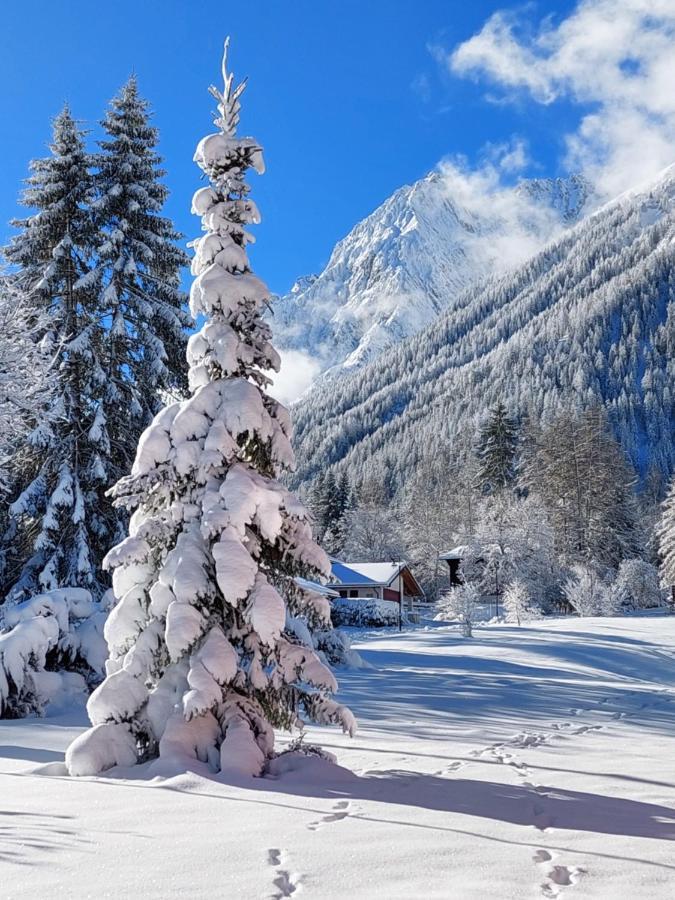 Chez Pierre Apartment Praz-de-Fort Екстериор снимка