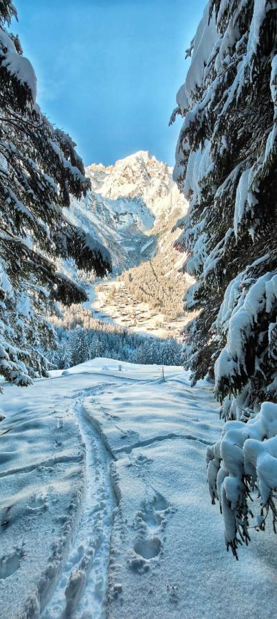 Chez Pierre Apartment Praz-de-Fort Екстериор снимка