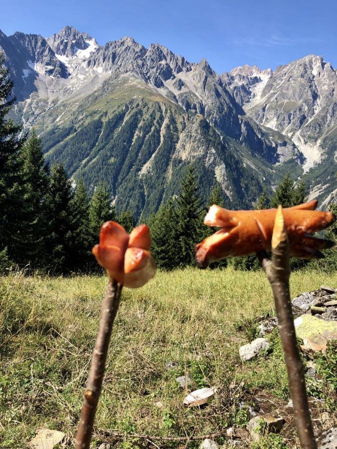 Chez Pierre Apartment Praz-de-Fort Екстериор снимка